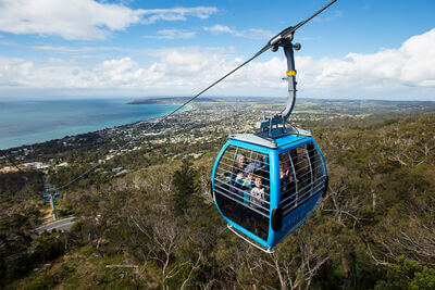 Arthurs Seat Eagle
