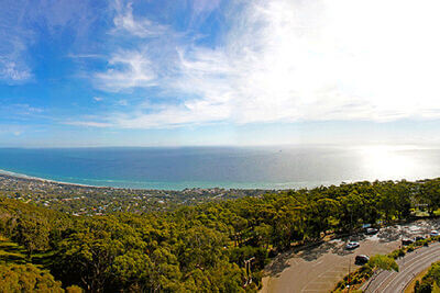 Arthurs Seat Eagle