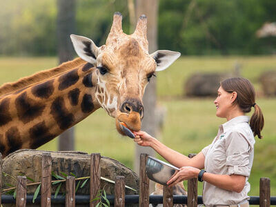 Australia Zoo