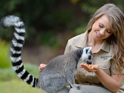 Australia Zoo