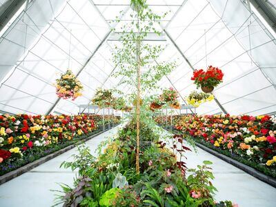 Ballarat Botanical Gardens