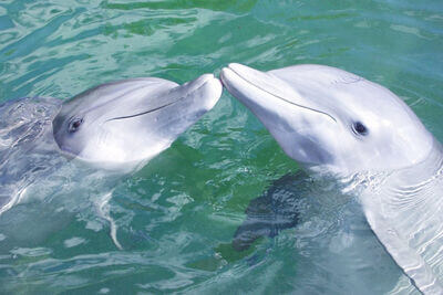 Bayplay Adventure Tours