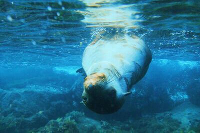 Bayplay Adventure Tours