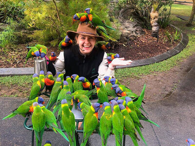 Currumbin Wildlife Sanctuary