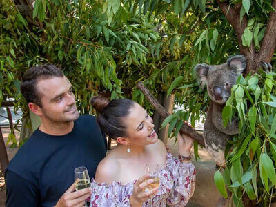 Currumbin Wildlife Sanctuary