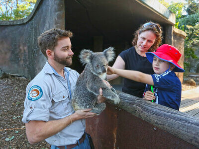 David Fleay Wildlife Park