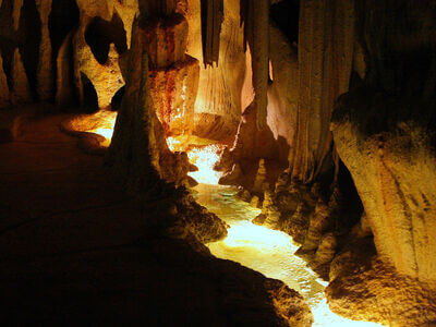 Glow Worm Caves Mt Tamborine