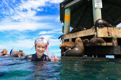 Moonraker Dolphin Swims