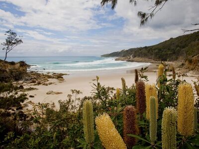 Moreton Island National Park