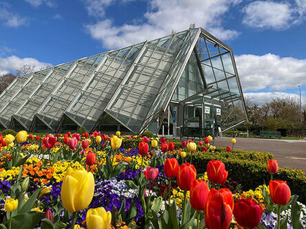 Attractions in Ballarat