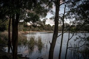 Esmond Lake Light Filled Home Ballarat Victoria - BnB Coast 2 Coast