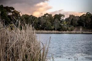 Esmond Lake Light Filled Home Ballarat Victoria - BnB Coast 2 Coast