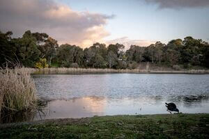 Esmond Lake Light Filled Home Ballarat Victoria - BnB Coast 2 Coast
