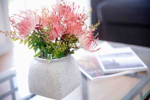 Golden Point Cottage Central Ballarat Victoria - BnB Coast 2 Coast
